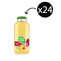 Spring Valley Apple Juice 300ml Carton 24